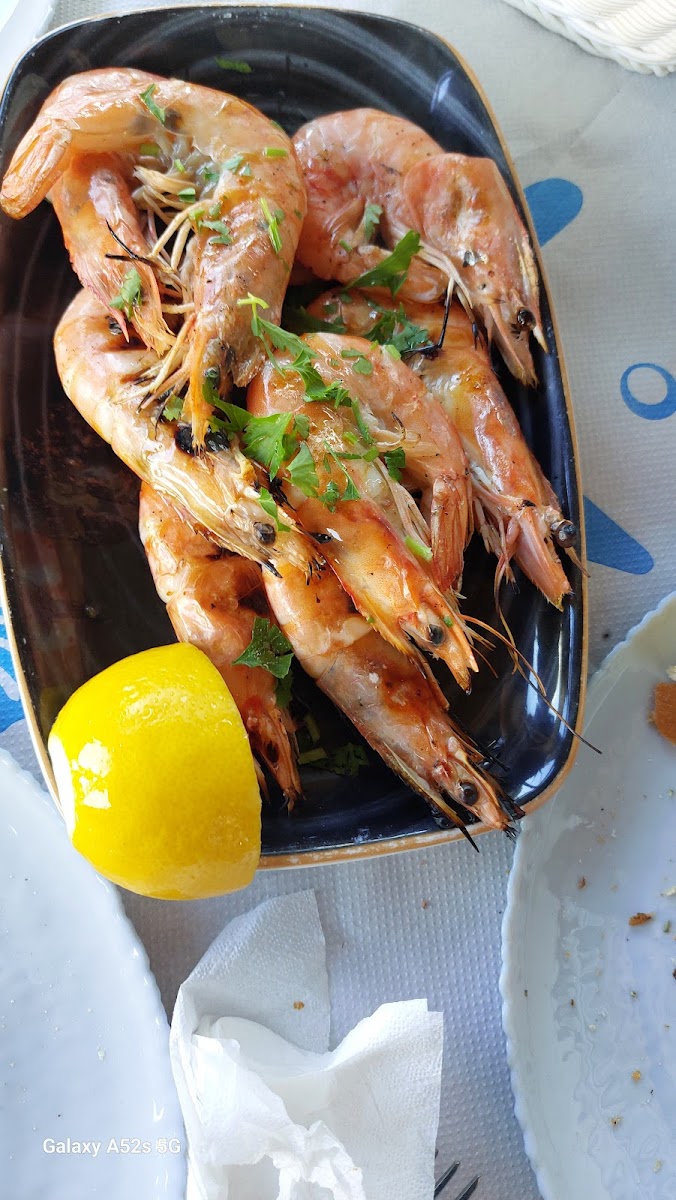 Fish & Grill photo 10