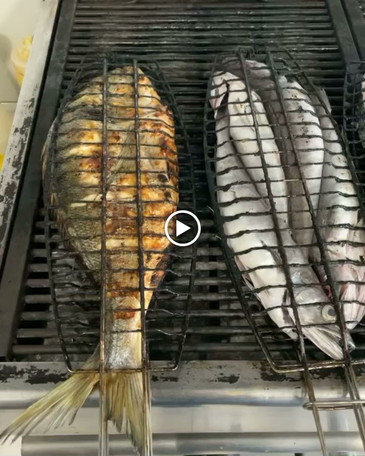 Fish & Grill photo 2