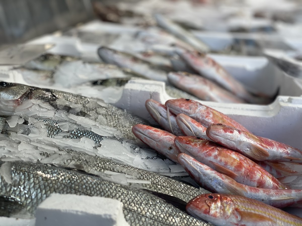 Fish & Grill photo 3