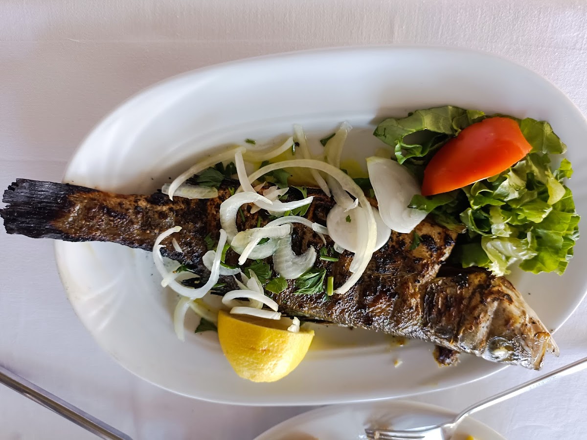 Fish & Grill photo 4